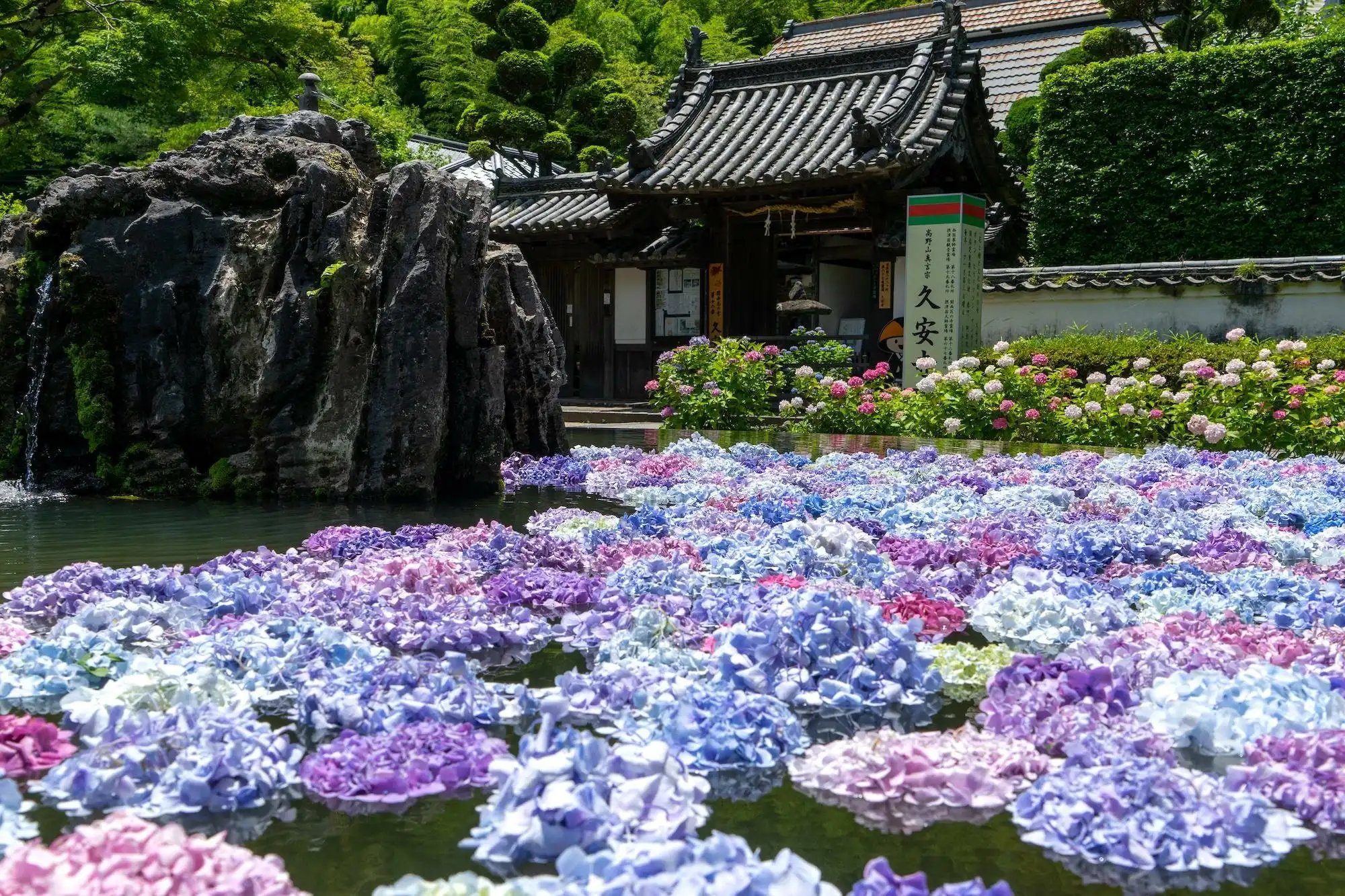 🌸 오랜 평화의 절 (큐안지)